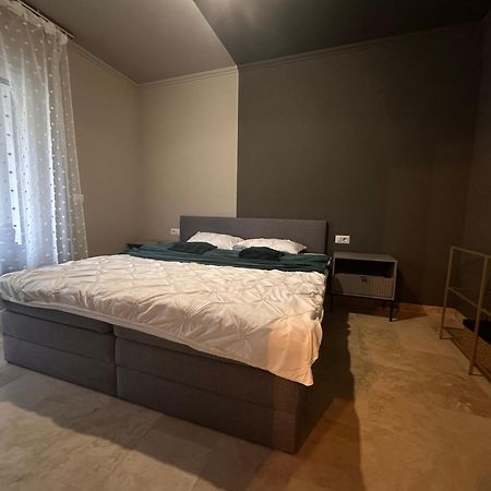 Rmr Luxury Apartaments 蒂米什瓦拉 外观 照片