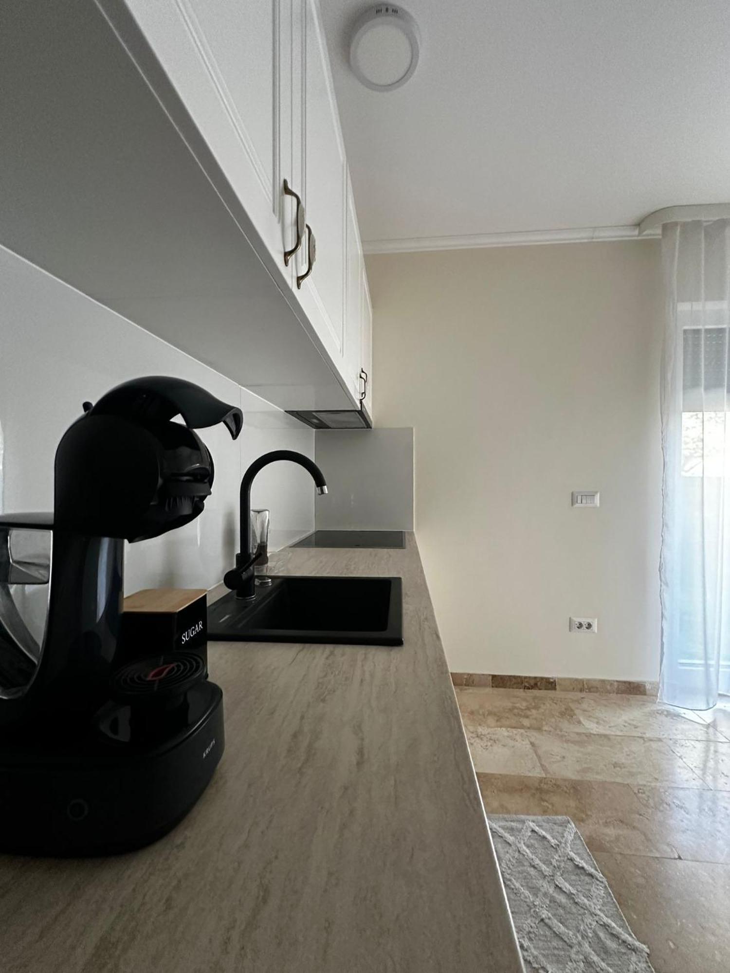 Rmr Luxury Apartaments 蒂米什瓦拉 外观 照片